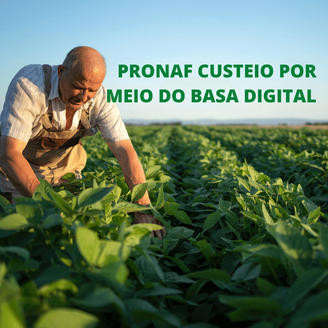 PRONAF CUSTEIO POR MEIO DO BASA DIGITAL