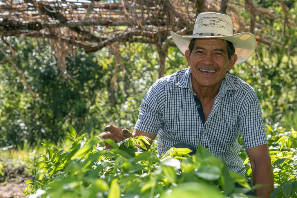 Banco da Amazônia promoverá Webinar sobre FNO Itinerante em Roraima