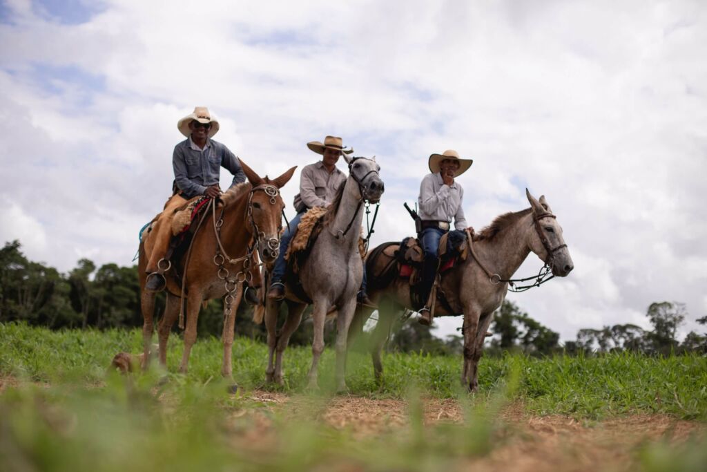 Agricultura familiar