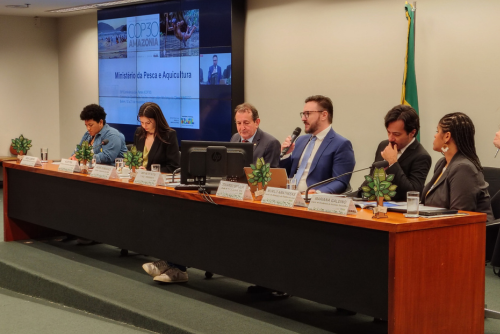 BANCO DA AMAZÔNIA PARTICIPA DO SEMINÁRIO PRÉ-COP 30 COM O LEGISLATIVO EM BRASÍLIA