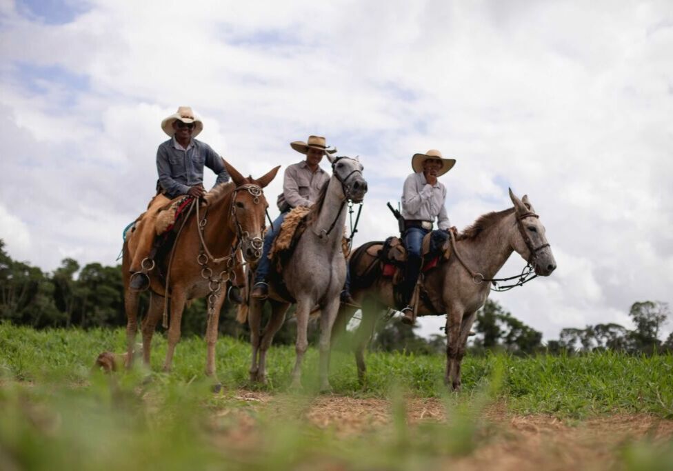 Agricultura familiar