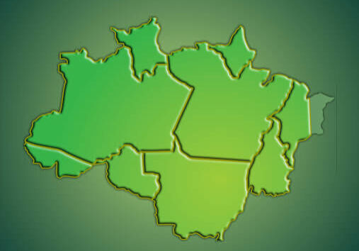 Amazônia Legal: O BASA fomenta o desenvolvimento de toda a região!